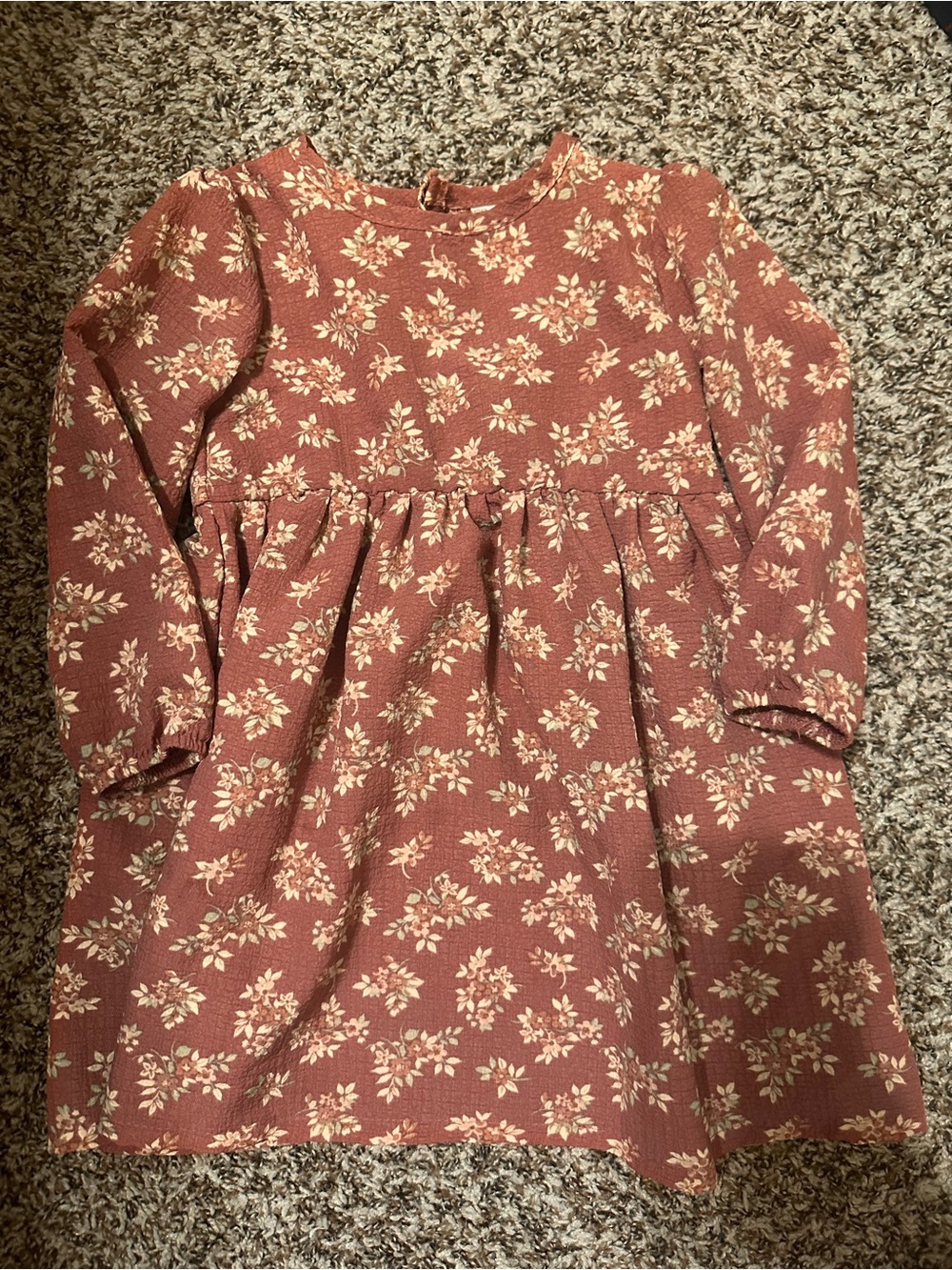 Daisy Fuentes Girls' Rose Floral Long Sleeve Dress